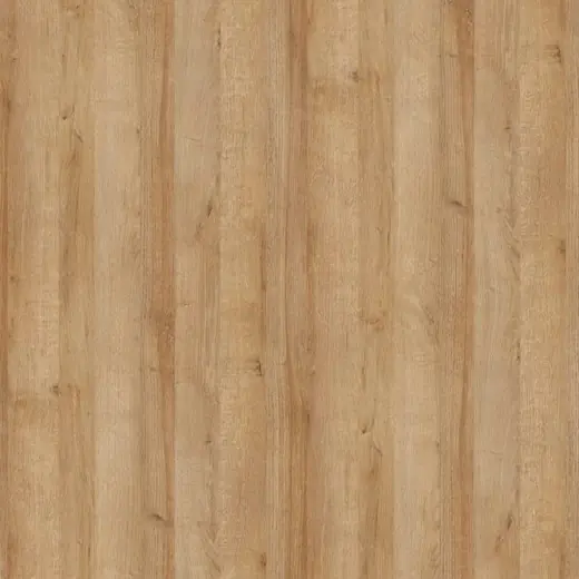 Sarı Meşe – VT_808