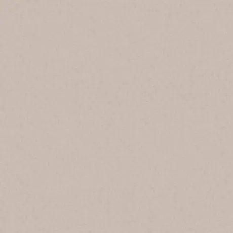Vizon Latte – YT_98D