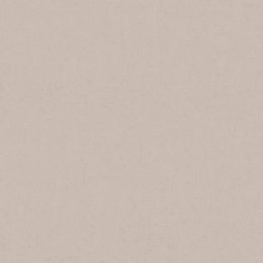 Vizon Latte – 98D