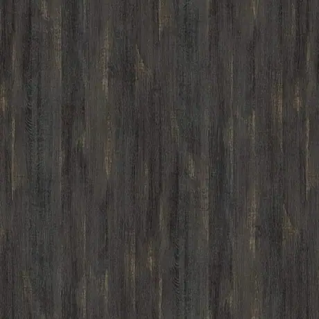 Forte – YT_33C