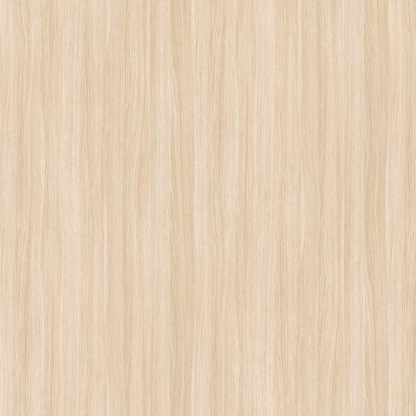 Açık meşe - VT_001