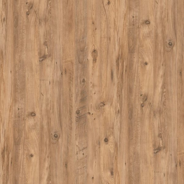 Atlantik Çam - VT_657